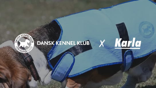 Dansk Kennel Klub